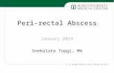 Peri-rectal Abscess Snehalata Topgi, M4 January 2014.