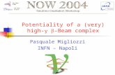 Potentiality of a (very) high-   -Beam complex Pasquale Migliozzi INFN – Napoli.