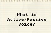 What is Active/Passive Voice?. Active voice is the voice used to indicate that the subject of the sentence is performing the action or causing the action.