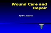 Wound Care and Repair By Dr. Kawair. Wound Care Lecture Outline ƒProper sequence for routine wound repair ƒOptions for choices of local anesthetics &