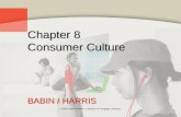 © 2009 South-Western, a division of Cengage Learning. Chapter 8 Consumer Culture BABIN / HARRIS.