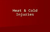 Heat & Cold Injuries. Heat Production & Dissipation Heat Production: Heat Production:  Basal Metabolic Rate  BMR is increased by shivering Heat Loss: