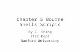 Chapter 5 Bourne Shells Scripts By C. Shing ITEC Dept Radford University.