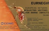 E UR N EG V EC E UROPEAN N ETWORK FOR N EGLECTED V ECTORS AND V ECTOR -B ORNE I NFECTIONS Joint meeting VBORNET – EMCA Elzenveld Conference Centre Antwerp,