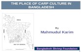1 THE PLACE OF CARP CULTURE IN BANGLADESH Bangladesh Shrimp Foundation By Mahmudul Karim.