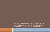 AA22 ANIMAL SCIENCE II ANATOMY & PHYSIOLOGY Essential Standard 3.00: Understand anatomy and physiology of animals. Objective 3.01: Classify anatomy of.