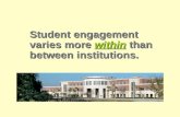 Student engagement varies more within than between institutions.