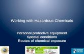 Working with Hazardous Chemicals Personal protective equipment Special conditions Routes of chemical exposure.