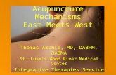 Acupuncture Mechanisms East Meets West Thomas Archie, MD, DABFM, DABMA St. Luke’s Wood River Medical Center Integrative Therapies Service.