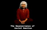 The Neuroscience of Social Emotion. Mary Helen Immordino-Yang, Ed.D University of Southern California Neuroscientist –learning –creativity –culture –morality.