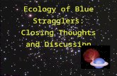 Ecology of Blue Stragglers: Closing Thoughts and Discussion.