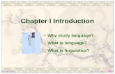 Chapter I Introduction Why study language? What is language? What is linguistics?