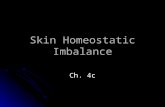 Skin Homeostatic Imbalance Ch. 4c. What goes wrong with skin? What skin problems do you know about? What skin problems do you know about?