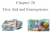 Chapter 28 First Aid and Emergencies. First Aid - the immediate, temporary care given to an ill or injured person until professional medical care can.