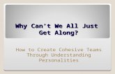 Why Can’t We All Just Get Along? How to Create Cohesive Teams Through Understanding Personalities.