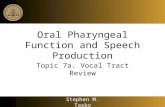 Oral Pharyngeal Function and Speech Production Topic 7a. Vocal Tract Review Stephen M. Tasko.