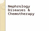 Nephrology Diseases & Chemotherapy. Idiopathic Nephrotic Syndrome (NS) Caused by renal diseases that increase the permeability across the glomerular filtration.