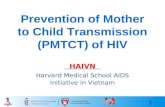 1 Prevention of Mother to Child Transmission (PMTCT) of HIV HAIVN Harvard Medical School AIDS Initiative in Vietnam.