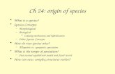 Ch 24: origin of species What is a species? Species Concepts –Morphological –Biological Isolating mechanisms and hybridization –Other Species Concepts.