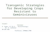 Transgenic Strategies for Developing Crops Resistant to Geminiviruses Student Chairman D. Raghu (II Ph.D., Biotechnology) Dr. D. Sudhakar 08-807-002 Professor,