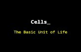 Cells The Basic Unit of Life. Cytology: The Study of Cells.