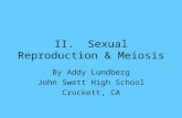 II. Sexual Reproduction & Meiosis By Addy Lundberg John Swett High School Crockett, CA.