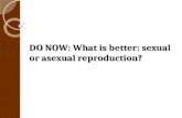 DO NOW: What is better: sexual or asexual reproduction?