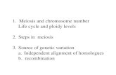 1. Meiosis and chromosome number Life cycle and ploidy levels 2.Steps in meiosis 3.Source of genetic variation a.Independent alignment of homologues b.