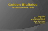 Matt.  Fully functional five man poker table  Optical recognition system for cards  LCD displays with game stats  Displays probability of increasing.