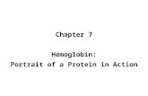 Chapter 7 Hemoglobin: Portrait of a Protein in Action.