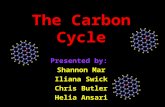The Carbon Cycle Presented by: Shannon Mar Iliana Swick Chris Butler Helia Ansari.