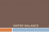 WATER BALANCE. Water Balance  In a general sense:  increased water intake = increase urine output  exercise or decreased water = reduce urine output.