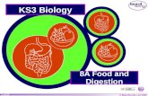 © Boardworks Ltd 2004 1 of 20 © Boardworks Ltd 2005 1 of 27 KS3 Biology 8A Food and Digestion.