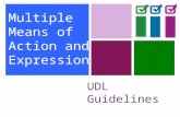 UDL Guidelines Multiple Means of Action and Expression.