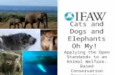 Cats and Dogs and Elephants Oh My! Applying the Open Standards to an Animal Welfare-Based Conservation Organization.