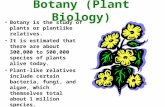 Botany (Plant Biology) Botany is the study of plants or plantlike relatives. It is estimated that there are about 300,000 to 500,000 species of plants.