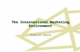 The International Marketing Environment Vladislav Kaputa.