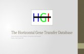 The Horizontal Gene Transfer Database Jeramy Brewster, Edward Simpson and Spandana Kommalapati Mentor: Mark Goebl, PhD.