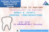 INTRODUCTION TO ANATOMY TERMINOLOGY IN ANATOMY BONES & JOINTS, GENERAL CONSIDERATIONS.
