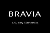 2008 Sales Proposal CJSC Sony Electronics. 52” Line up 2008 2H 2008 1H 200Hz WCG-CCFL RGB-LED L/D DRC-MFv3 100Hz PRO 100Hz WCG-CCFL 52 46 40 52 46 40.