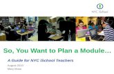 August 2010 Mary Moss So, You Want to Plan a Module… A Guide for NYC iSchool Teachers.