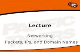 Lecture Networking Packets, IPs, and Domain Names.