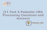 1 J11 Part A Palmetto GBA Processing Questions and Answers.