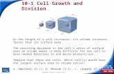 End Show Slide 1 of 38 Copyright Pearson Prentice Hall 10-1 Cell Growth and Division As the length of a cell increases, its volume increases faster than.