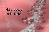 1 History of DNA. 2 DNA Structure Rosalind Franklin took diffraction x-ray photographs of DNA crystals In the 1950’s, Watson & Crick built the first model.