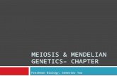 MEIOSIS & MENDELIAN GENETICS– CHAPTER Freshman Biology; Semester Two.