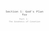 Section 1: God’s Plan for Part 1: The Goodness of Creation.