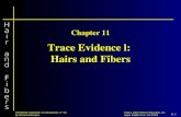 11-1 ©2011, 2008 Pearson Education, Inc. Upper Saddle River, NJ 07458 FORENSIC SCIENCE: An Introduction, 2 nd ed. By Richard Saferstein Trace Evidence.