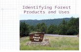 Identifying Forest Products and Uses. Next Generation Science/Common Core Standards Addressed! HSS ‐ IC.A.1 Understand statistics as a process for making.