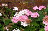 Dead Men’s geraniums: Domestic gardens as sites of spatialised bereavement Ruth McManus University of Canterbury Christchurch, NZ.